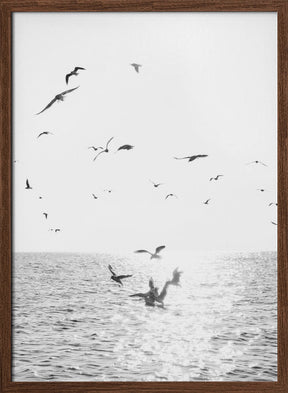 Seagulls At Sea Poster