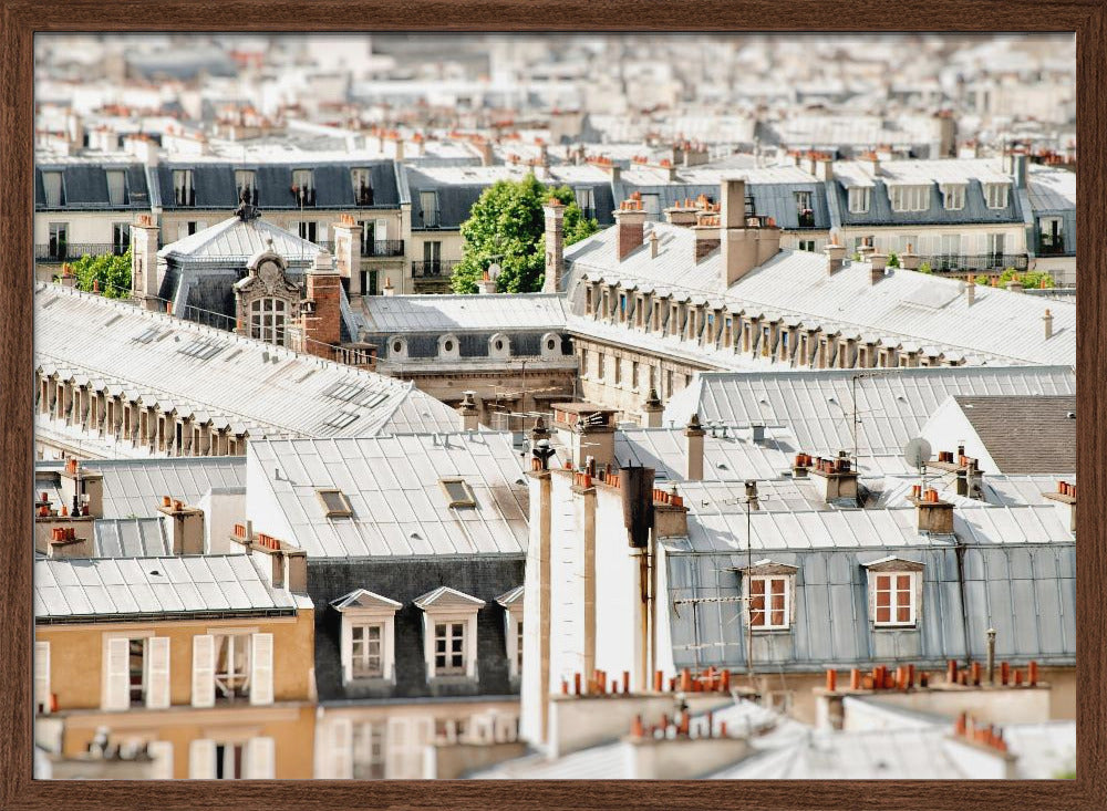 Paris Rooftops Poster