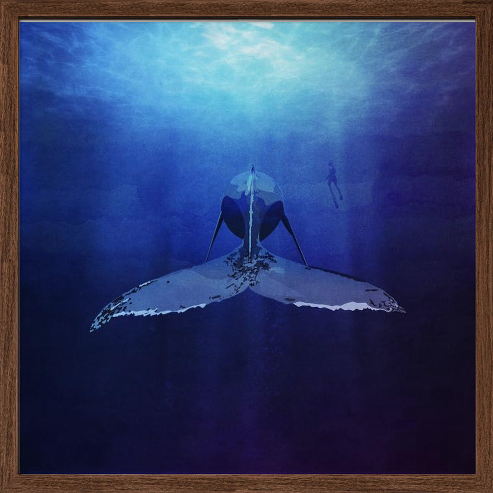 Whale Poster