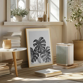 Monstera leaves in loose watercolor bw Poster