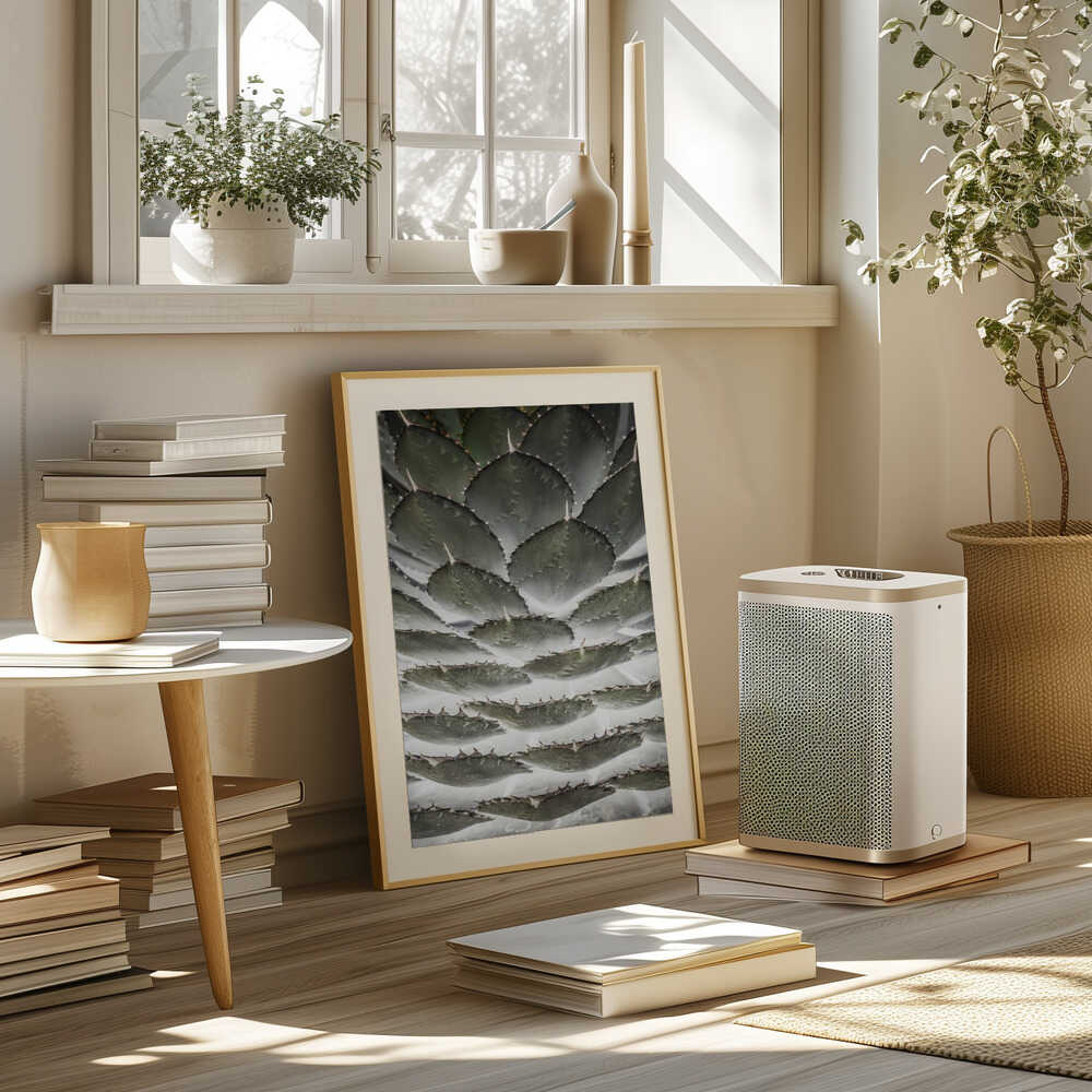 Spiral Succulent Poster