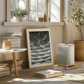 Spiral Succulent Poster