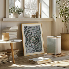Spiral Succulent Maze Poster