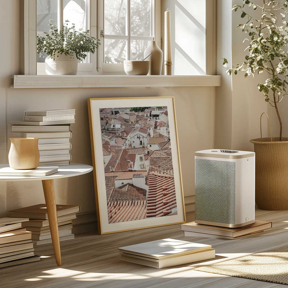 Red Tiled Rooftops Poster