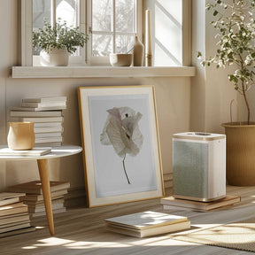 Petal Whisper Poster