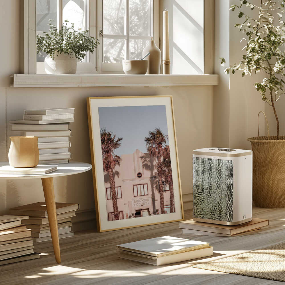 Palm Shadows Poster