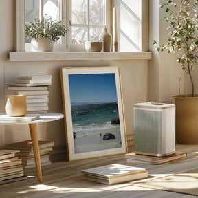 Penguin's Beach Walk Poster