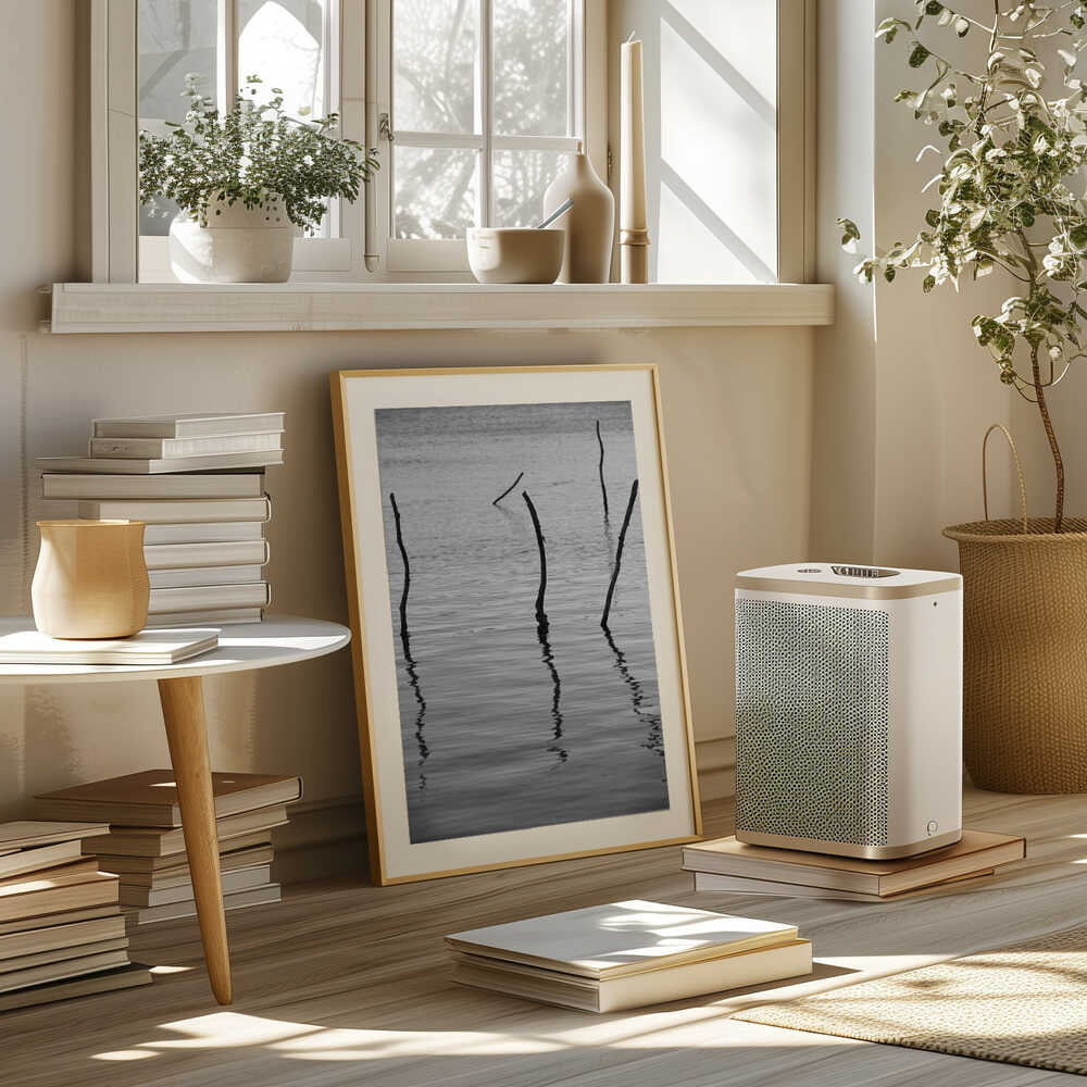 Silent Reflections Poster