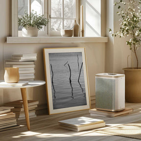 Silent Reflections Poster
