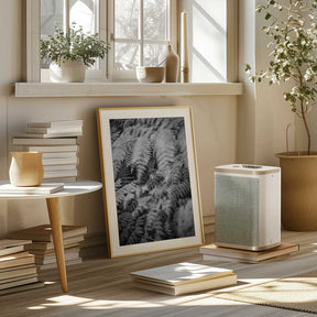 Black And White Photograph Poster