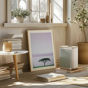 Tree By A Tranquil Lake Poster