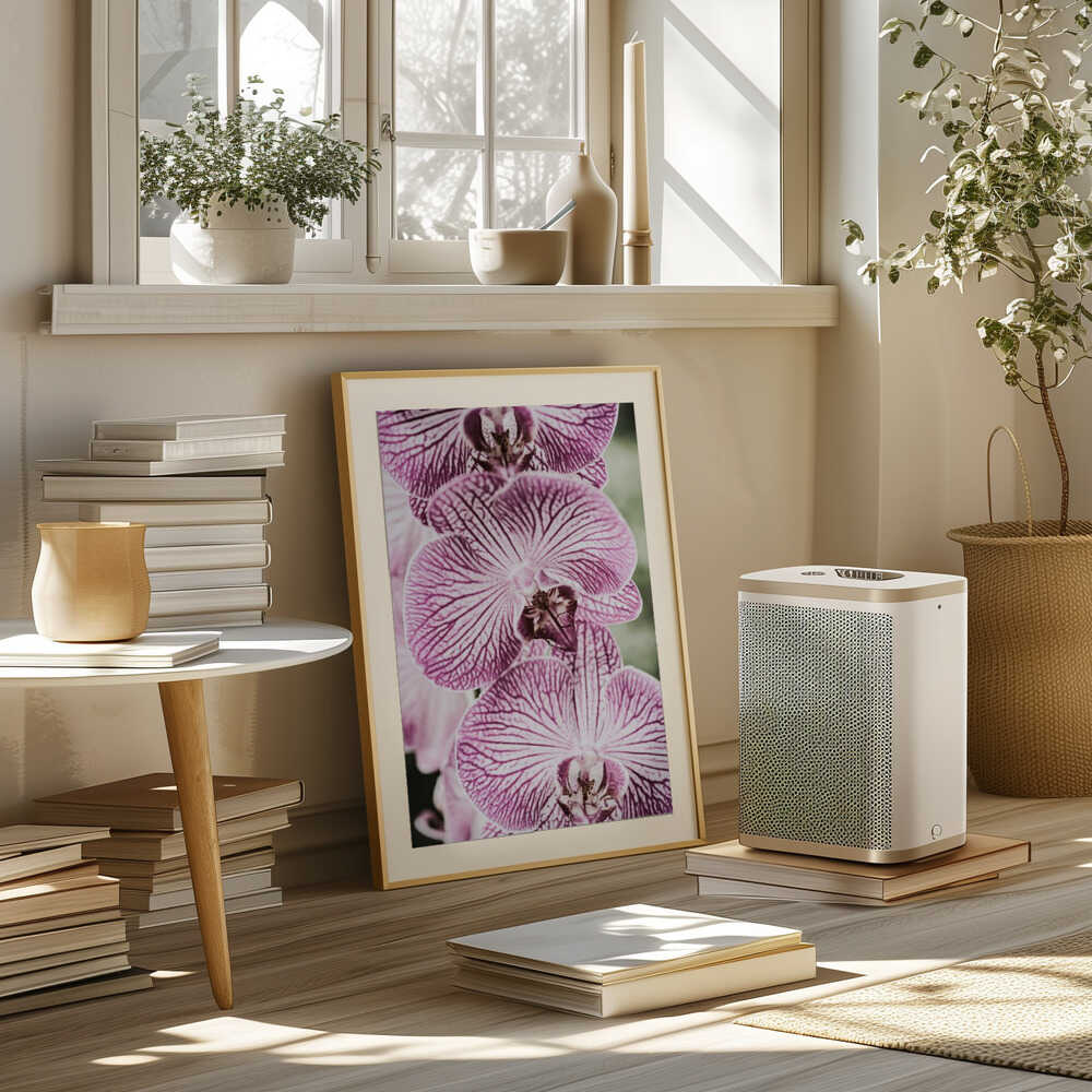 Tiger Blooms Poster