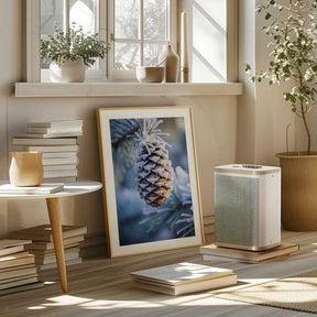 Frosty Pinecone Burst Poster