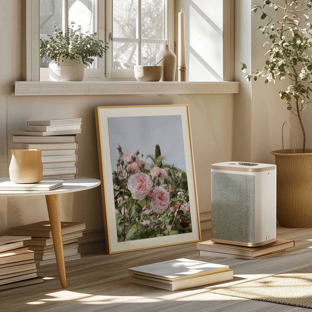 Garden Roses Poster