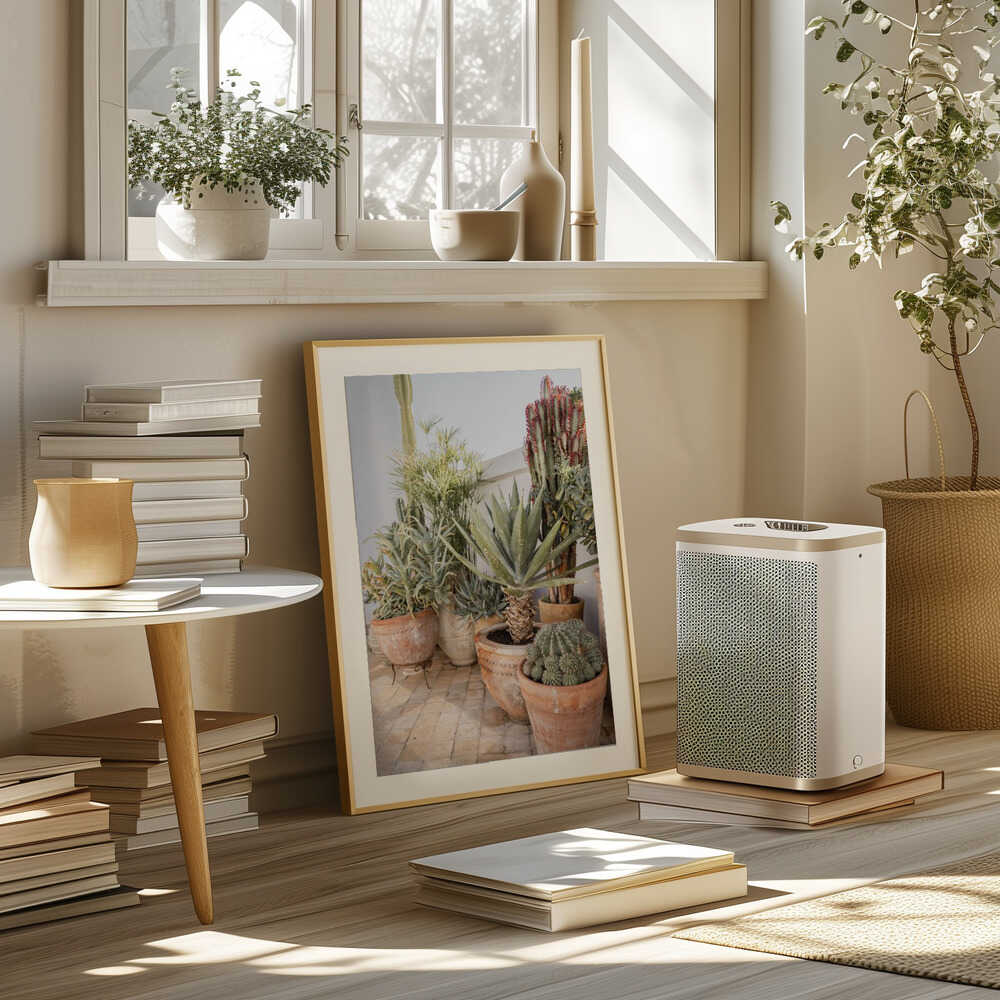 Garden with Various Potted Succulents and Cacti Poster