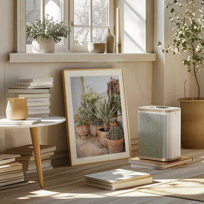 Garden with Various Potted Succulents and Cacti Poster