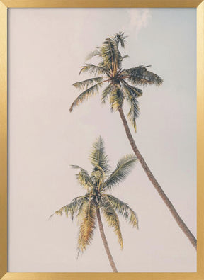 Tropical Palms Poster