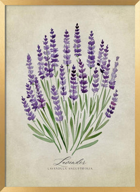 Lavender vintage Poster