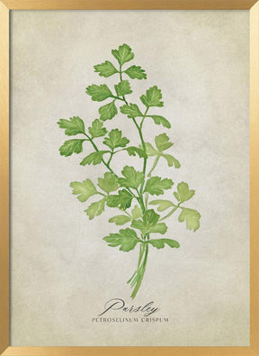 Parsley vintage Poster