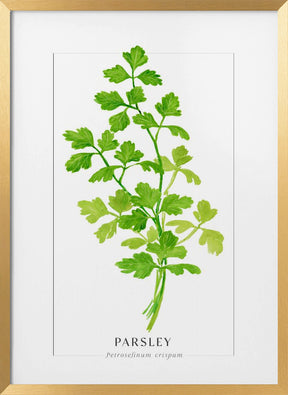 Parsley II Poster