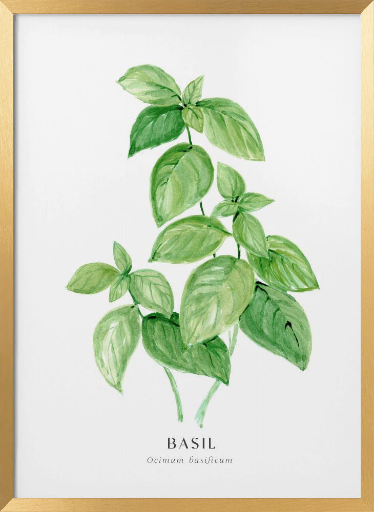 Basil I Poster