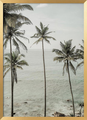 Tropical Dreams Poster