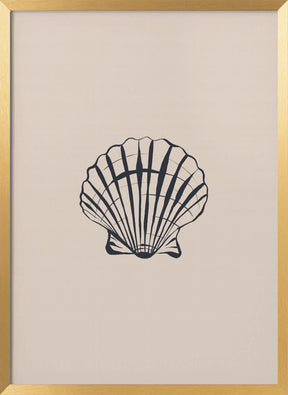 Seashell Poster