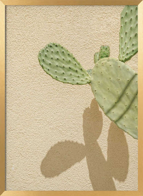 Cacti Shadowplay Poster