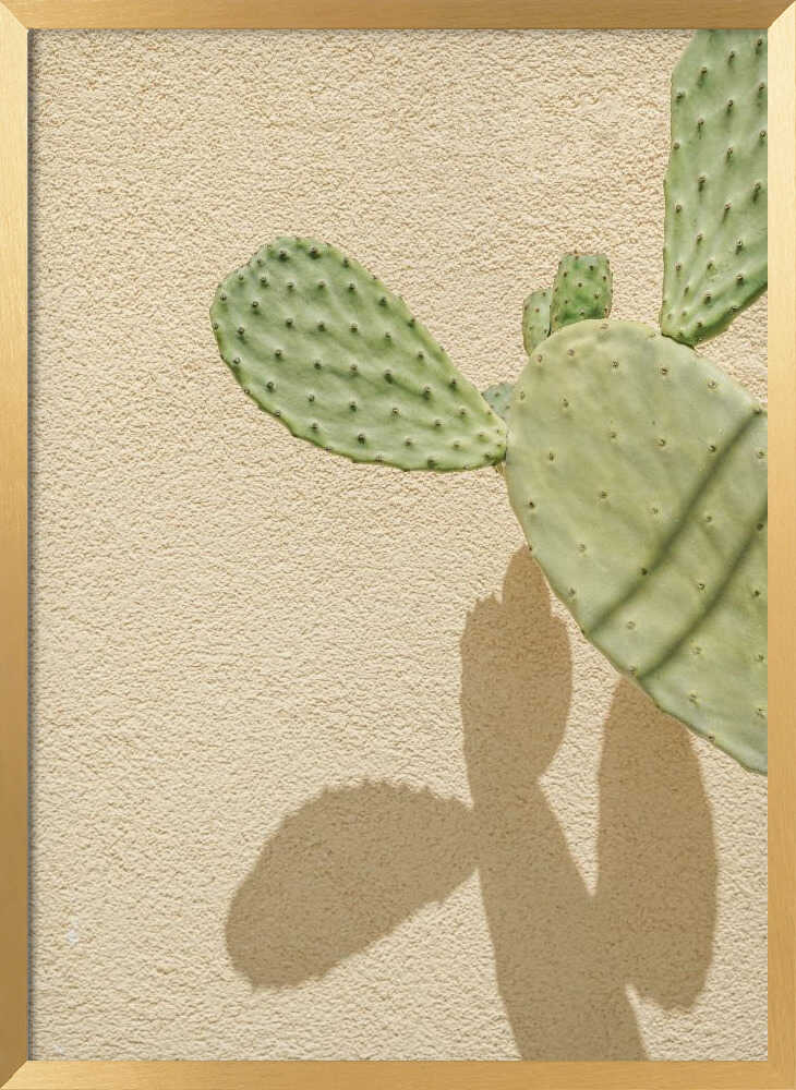 Cacti Shadowplay Poster