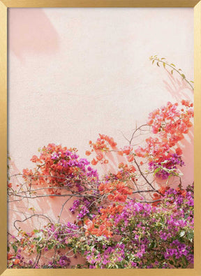 Pink Summer Poster