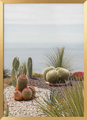 Botanical Garden Poster