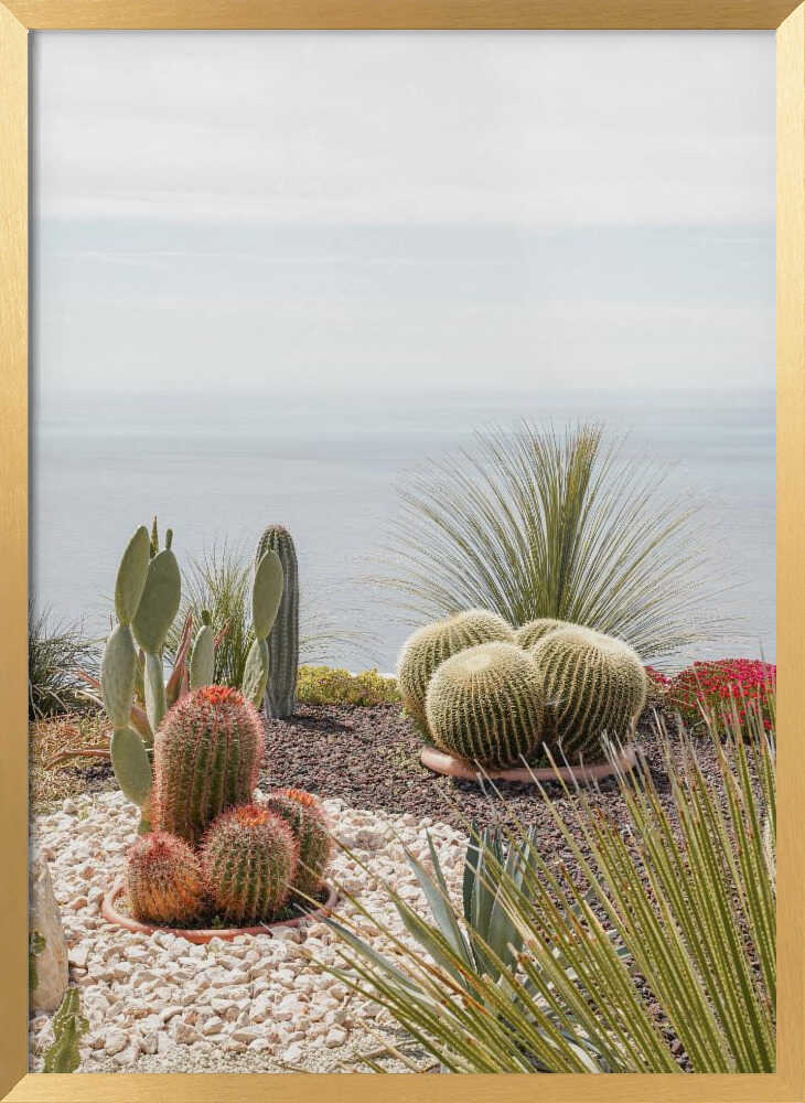 Botanical Garden Poster