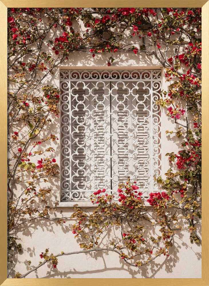 The Red Frame Poster