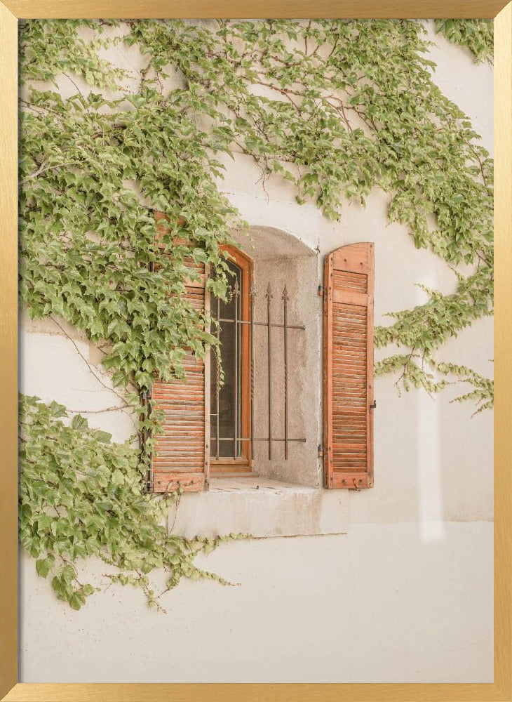 French Shutters Poster