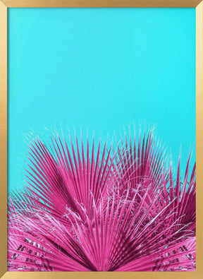 Electric Pink Palm Fronds