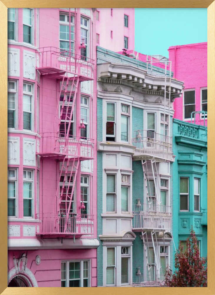 Pink and Blue Row Houses in San Francisco Poster