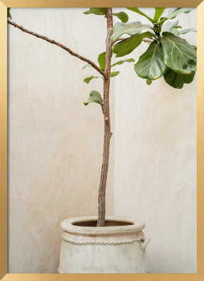 Tree In a Pot Poster