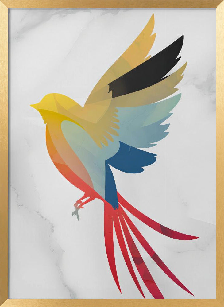 Colorful Bird Poster