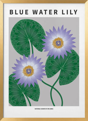 Blue Water Lily - National flower of Sri Lanka Poster