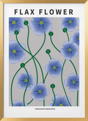 Flax flower - National flower of Ireland Poster