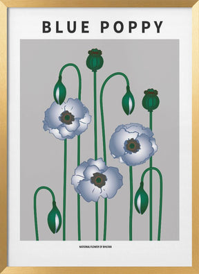 Blue Poppy - National flower of  Bhutan Poster