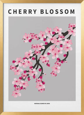 Cherry blossom - National flower of Japan Poster