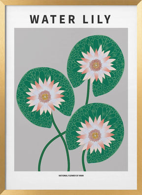 Water Lily - National flower of Iran Poster