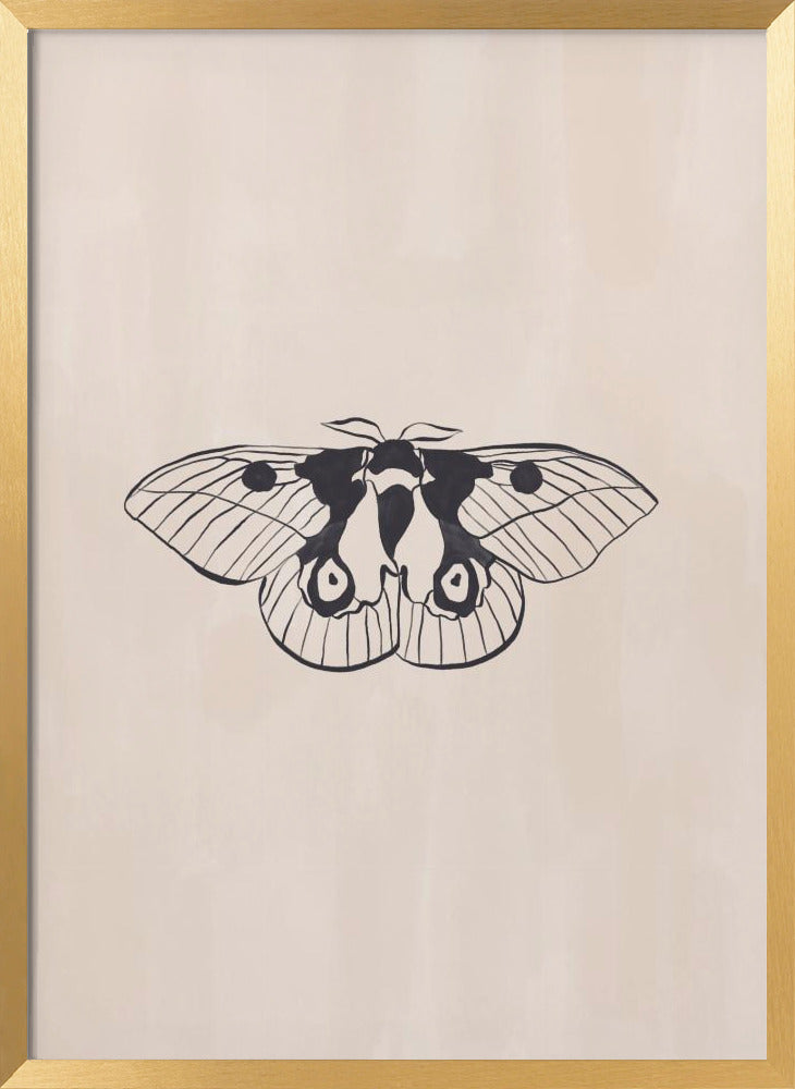 Moth Line Art Print By Ivy Green Illustrations 4 5 Ratio Poster