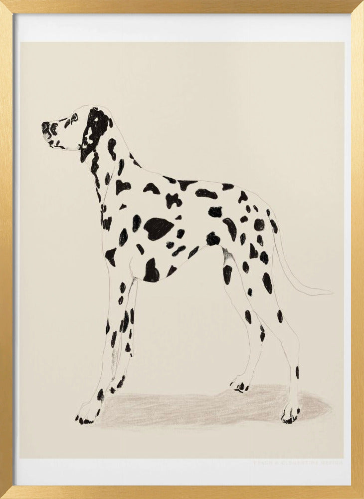 Pandc Dalmation Poster