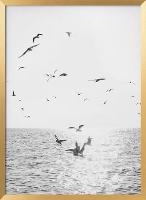 Seagulls At Sea Poster