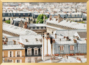 Paris Rooftops Poster