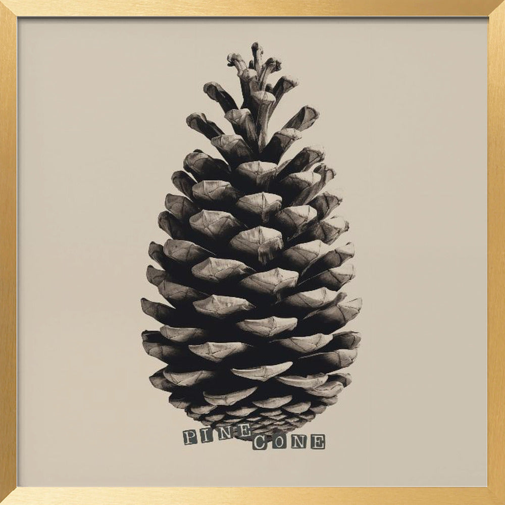 Pine Cone Poster