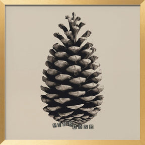 Pine Cone Poster