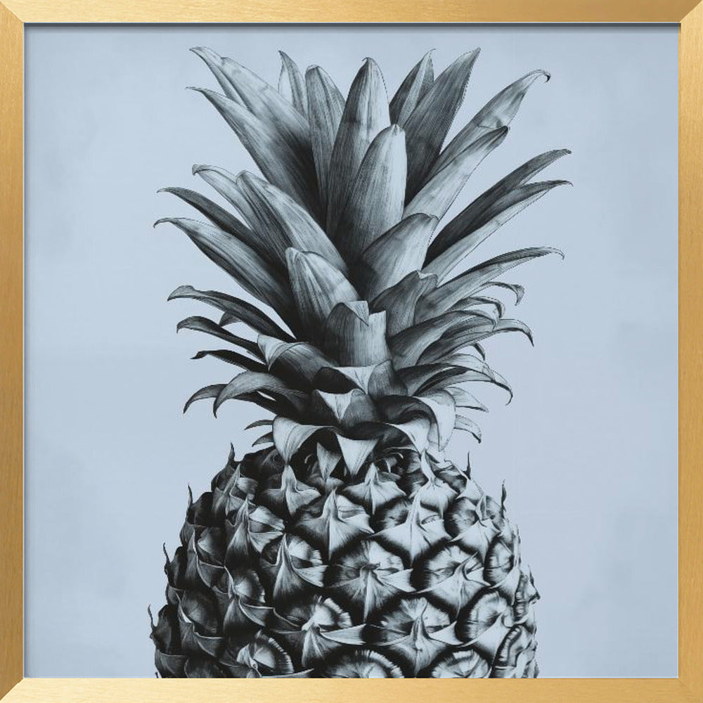 Pineapple Poster